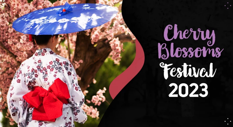 Cherry Blossoms Washington DC 2023